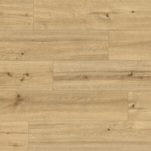 SPC Classen Ceramin Pro Nature Soacha