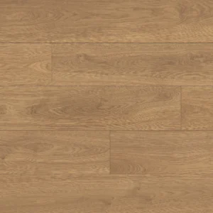 SPC Classen Ceramin Bengali